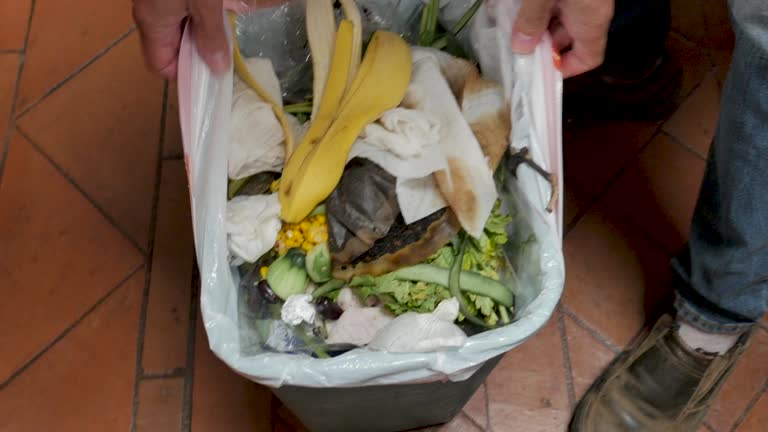 Trusted Wanamingo, MN Junk Removal Services Experts
