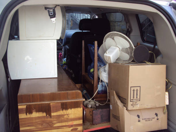 Best Office Cleanout  in Wanamingo, MN