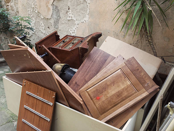 Best Recycling Services for Junk  in Wanamingo, MN